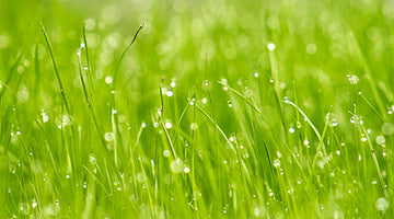 April Showers!