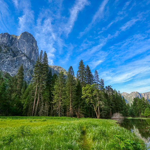 Let’s Talk About Earth Day 